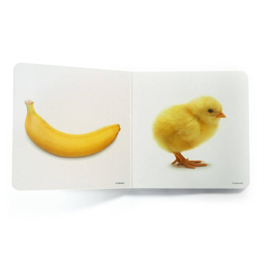 nowordbooks | geel - woordloos fotoboek