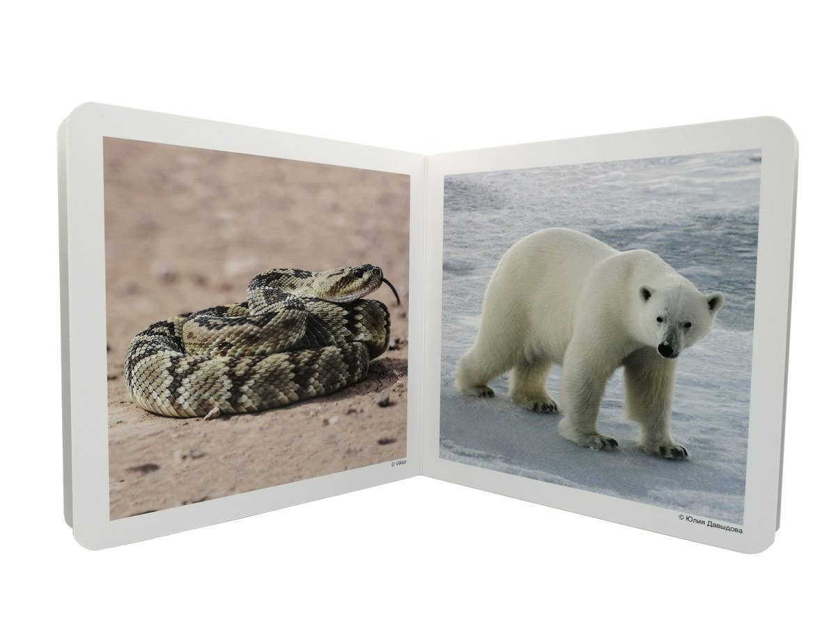 nowordbooks | wilde dieren 2 - woordloos fotoboek