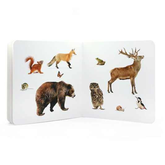 nowordbooks | bosdieren 2 - woordloos fotoboek