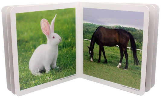 nowordbooks | boerderijdieren - woordloos fotoboek