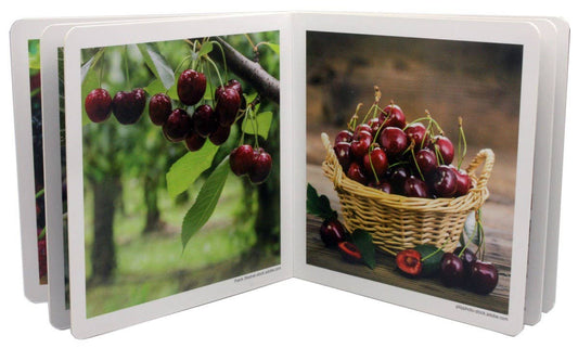 nowordbooks | bosvruchten - Woordloos fotoboek