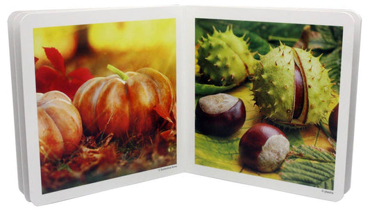 nowordbooks | herfst - woordloos fotoboek