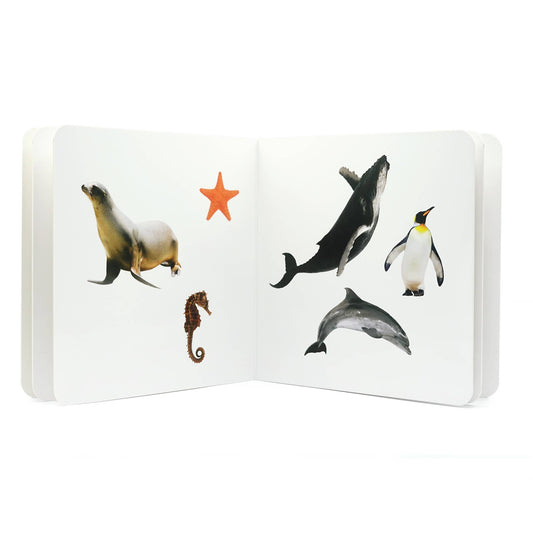 nowordbooks | zeedieren 2 - woordloos fotoboek