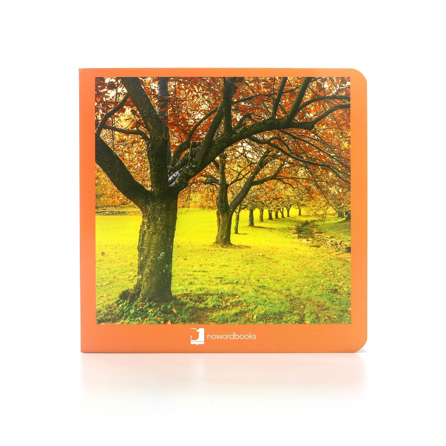 nowordbooks | herfst - woordloos fotoboek