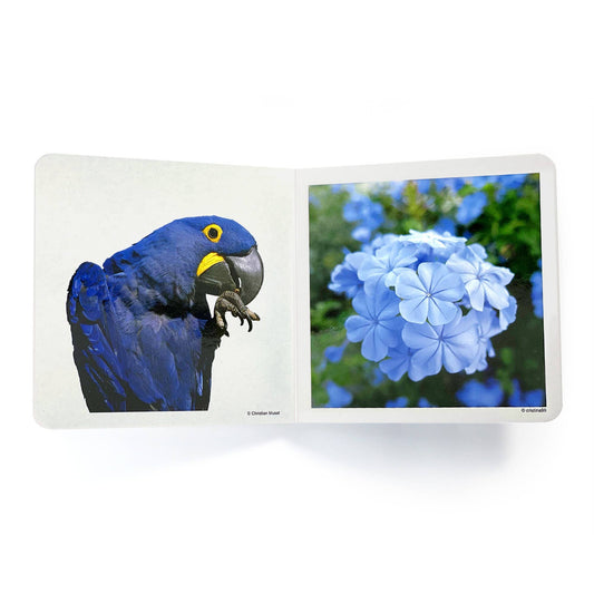 nowordbooks | blauw - woordloos fotoboek