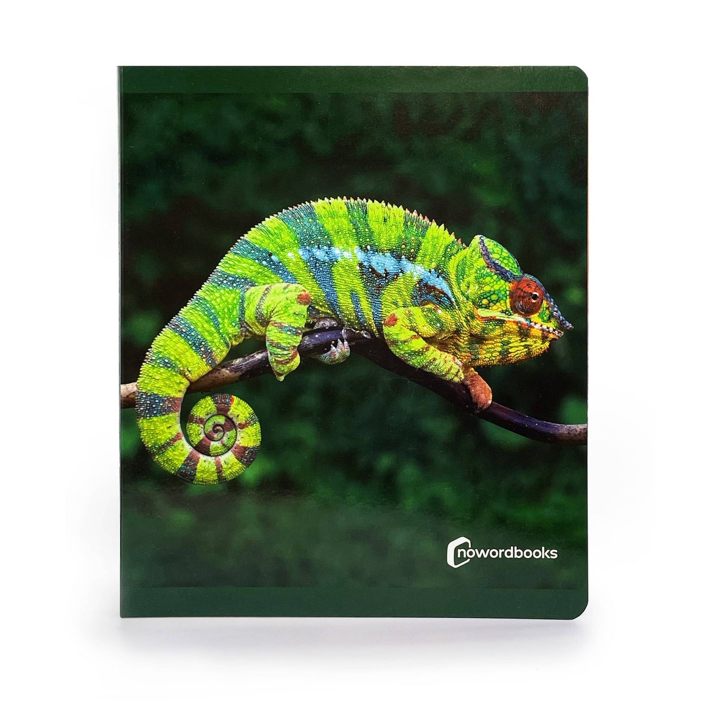 nowordbooks | dieren van de jungle - groot woordloos fotoboek