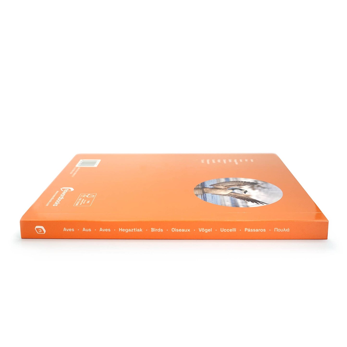 nowordbooks | vogels - groot woordloos fotoboek