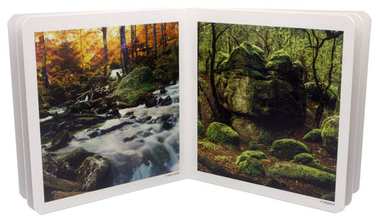 nowordbooks | het bos - woordloos fotoboek