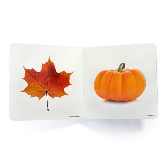 nowordbooks | oranje - woordloos fotoboek