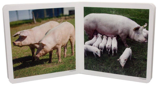 nowordbooks | dieren families 1 - woordloos fotoboek