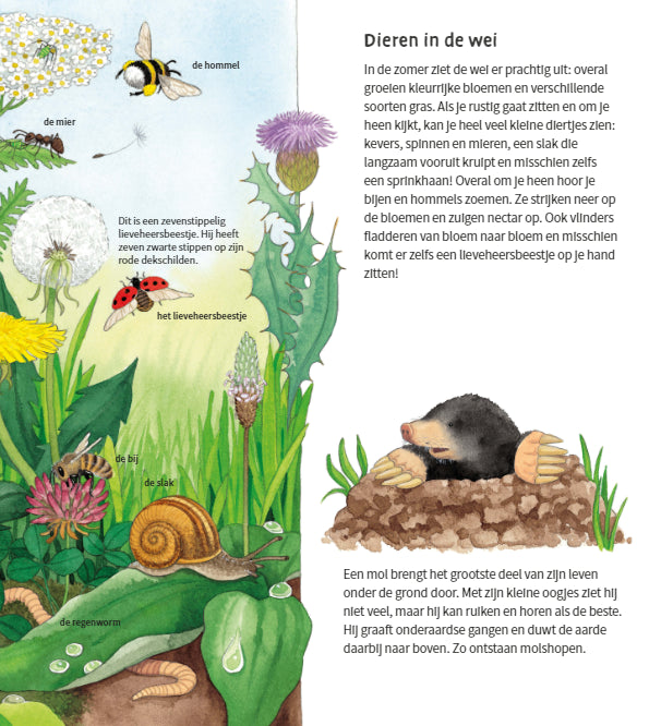 deltas | de dieren om ons heen