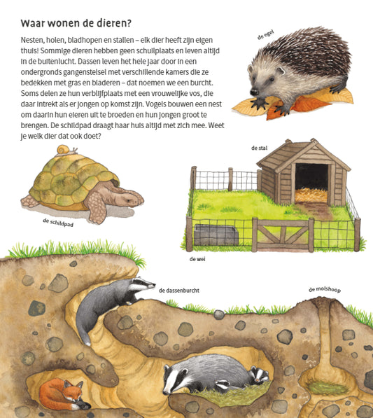 deltas | de dieren om ons heen