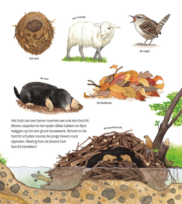 deltas | de dieren om ons heen
