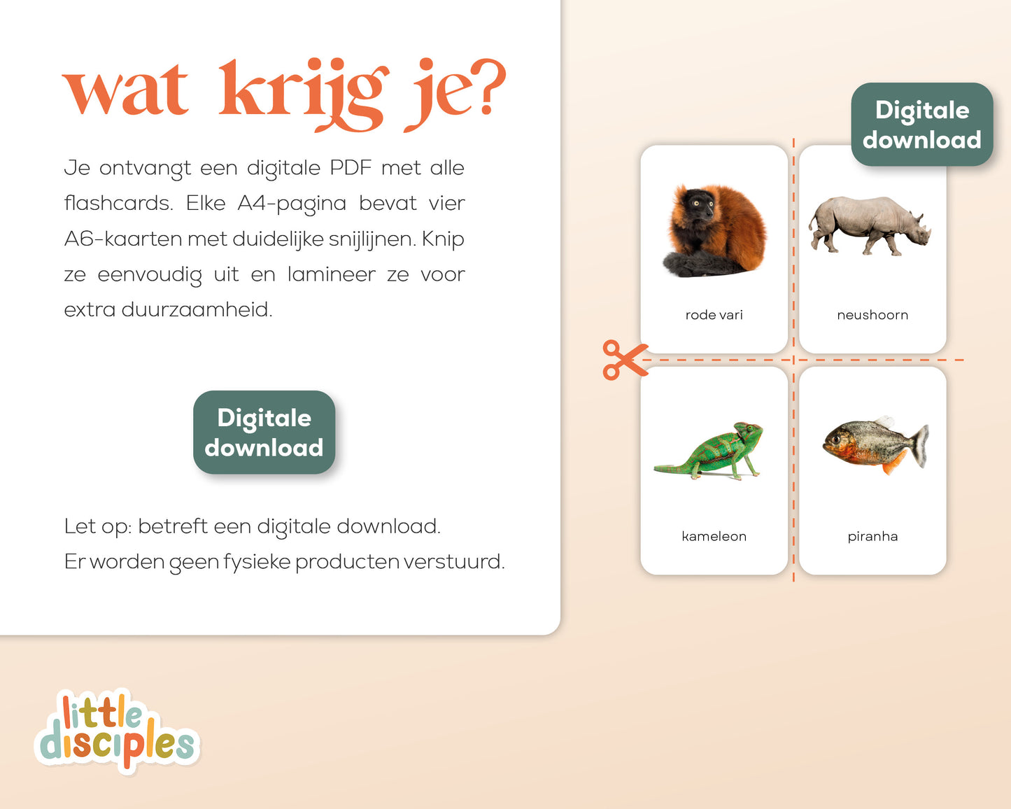 little disciples | jungledieren - 22 flashcards