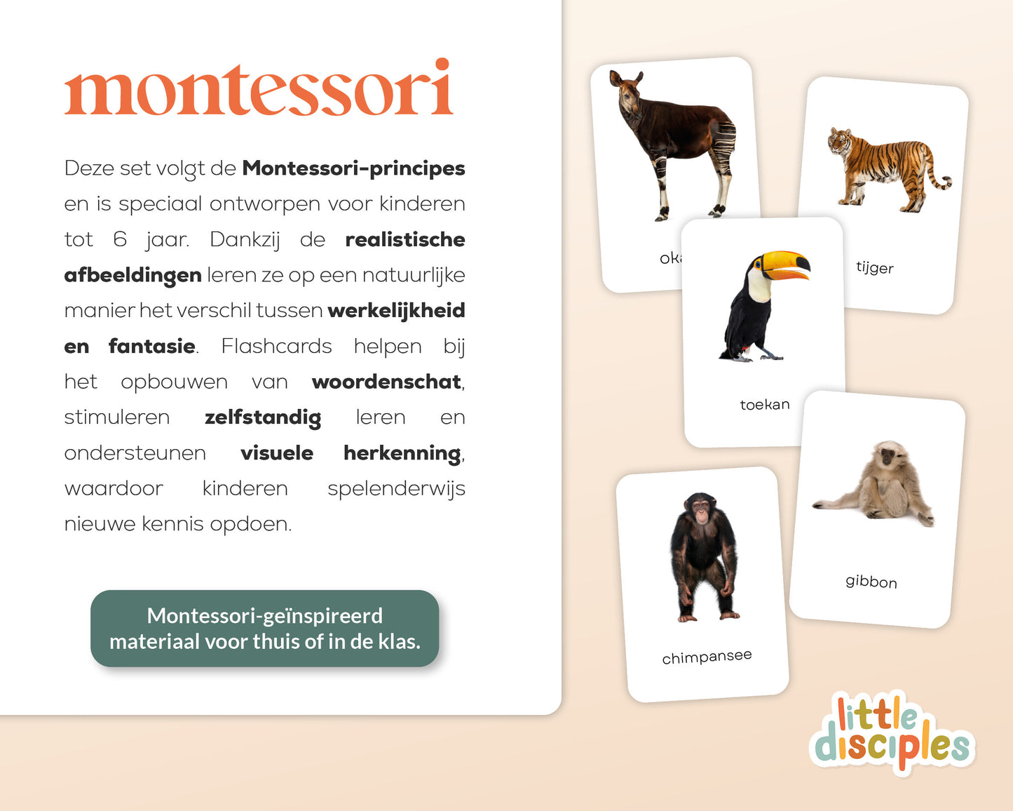little disciples | jungledieren - 22 flashcards