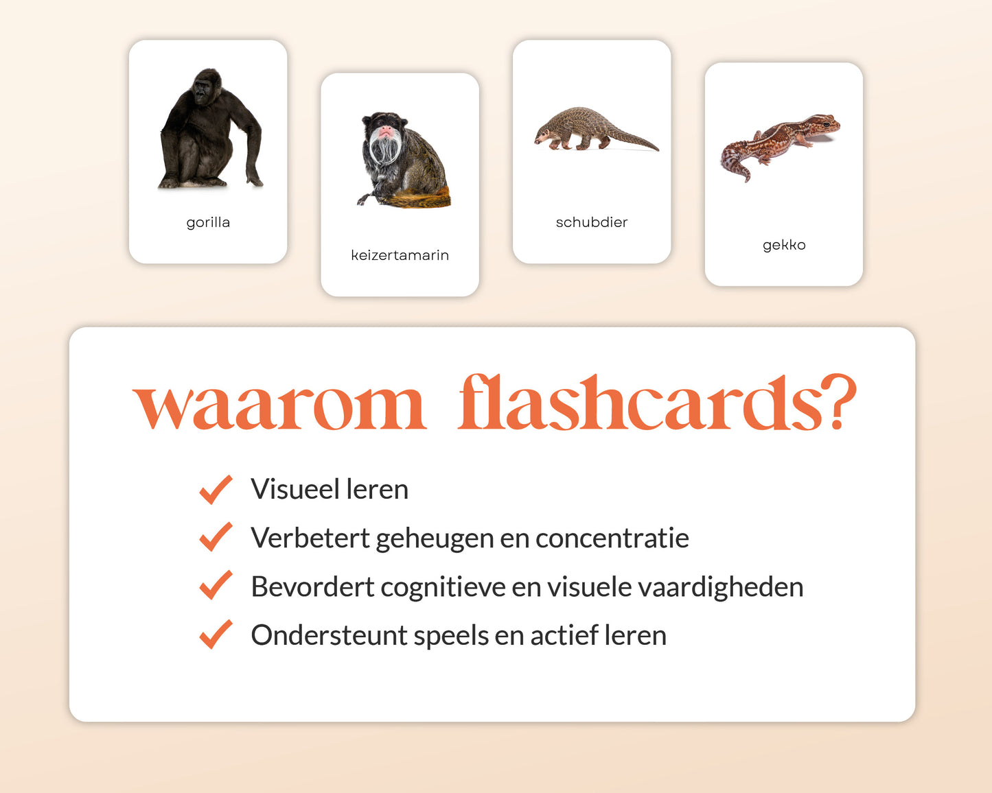 little disciples | jungledieren - 22 flashcards