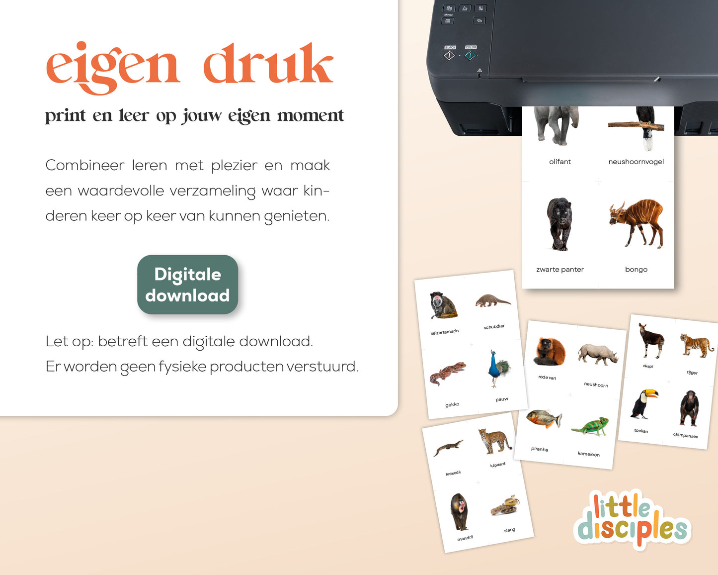 little disciples | jungledieren - 22 flashcards