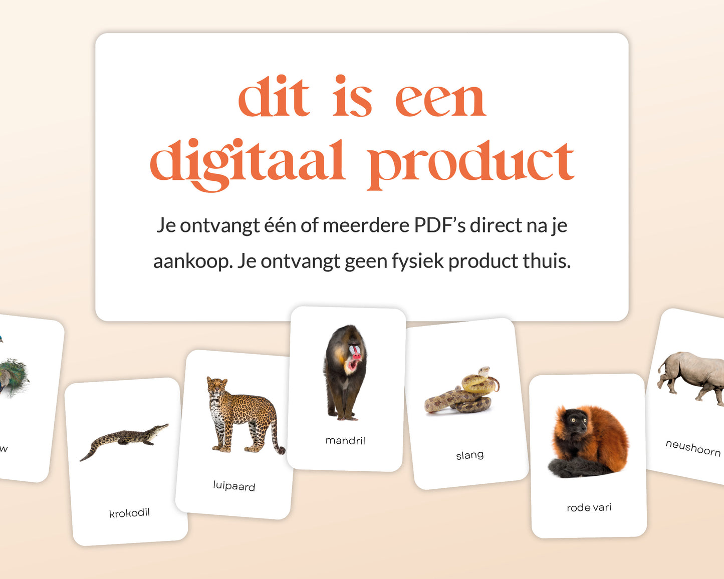 little disciples | jungledieren - 22 flashcards