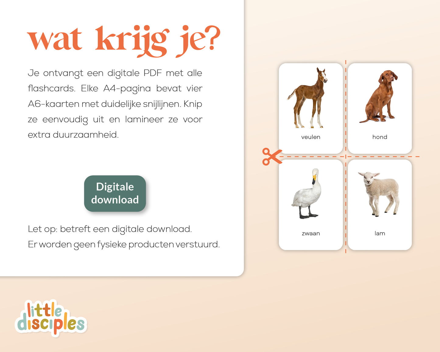 little disciples | boerderijdieren - 24 flashcards