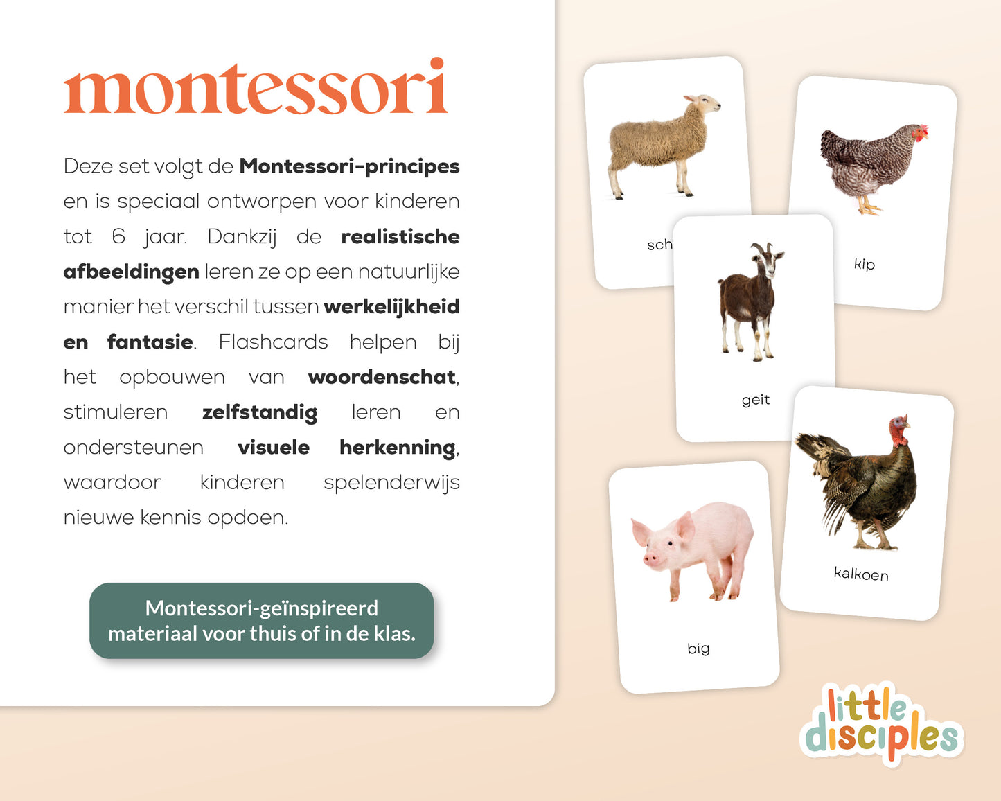 little disciples | boerderijdieren - 24 flashcards