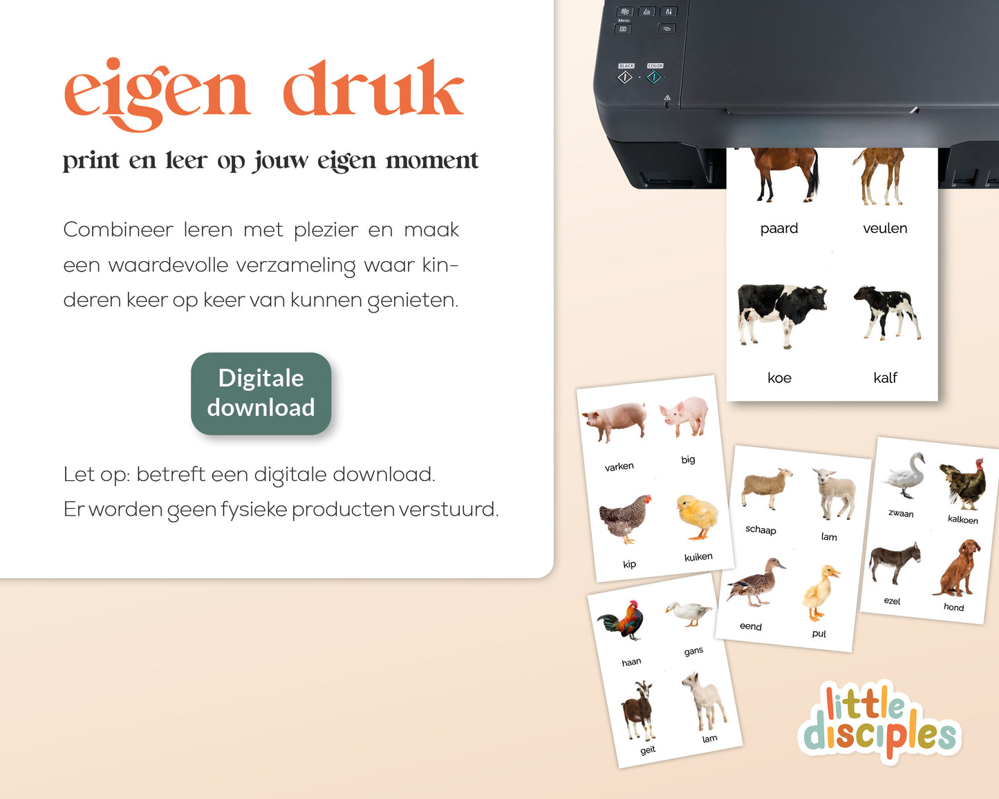 little disciples | boerderijdieren - 24 flashcards