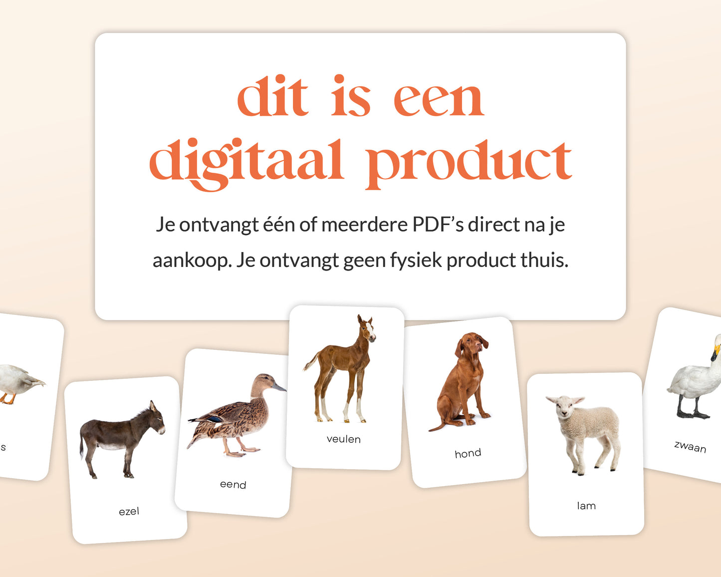 little disciples | boerderijdieren - 24 flashcards