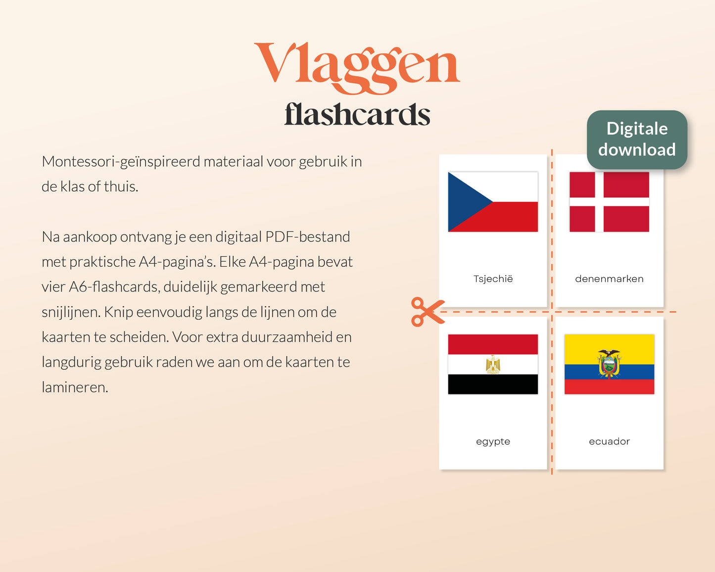little disciples | vlaggen - 56 flashcards