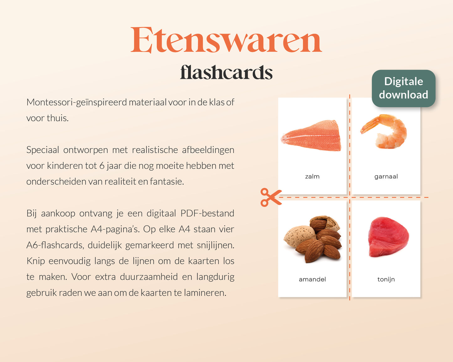 little disciples | etenswaren - 47 flashcards
