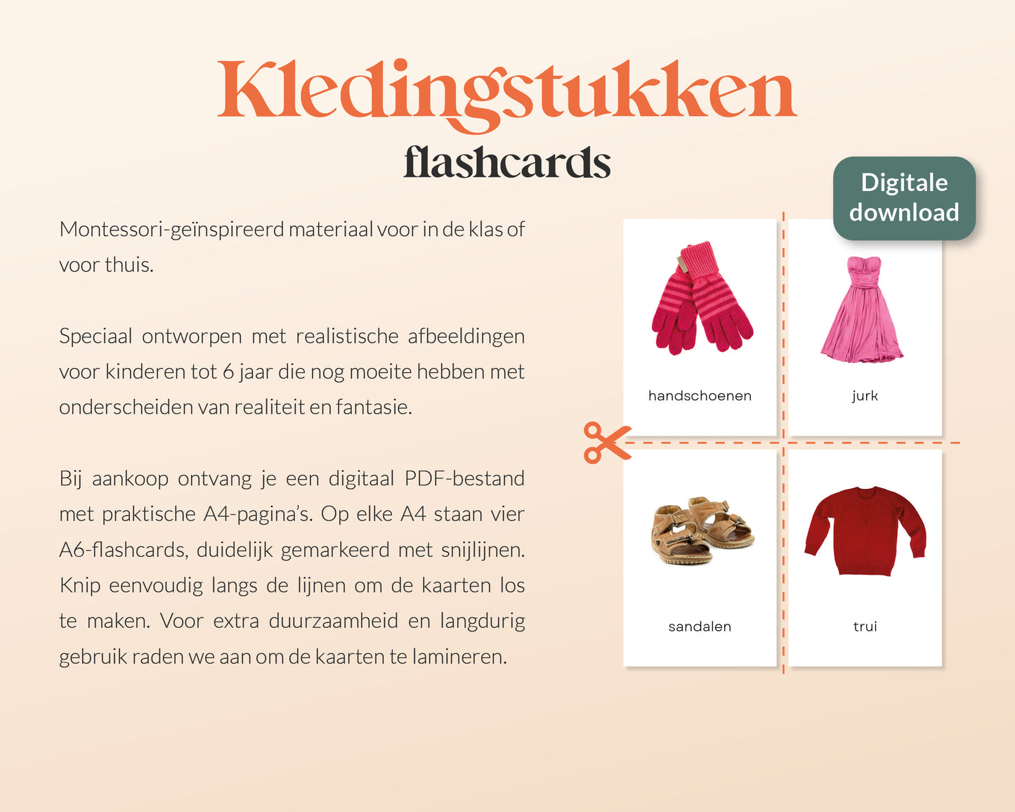 little disciples | kledingstukken - 25 flashcards