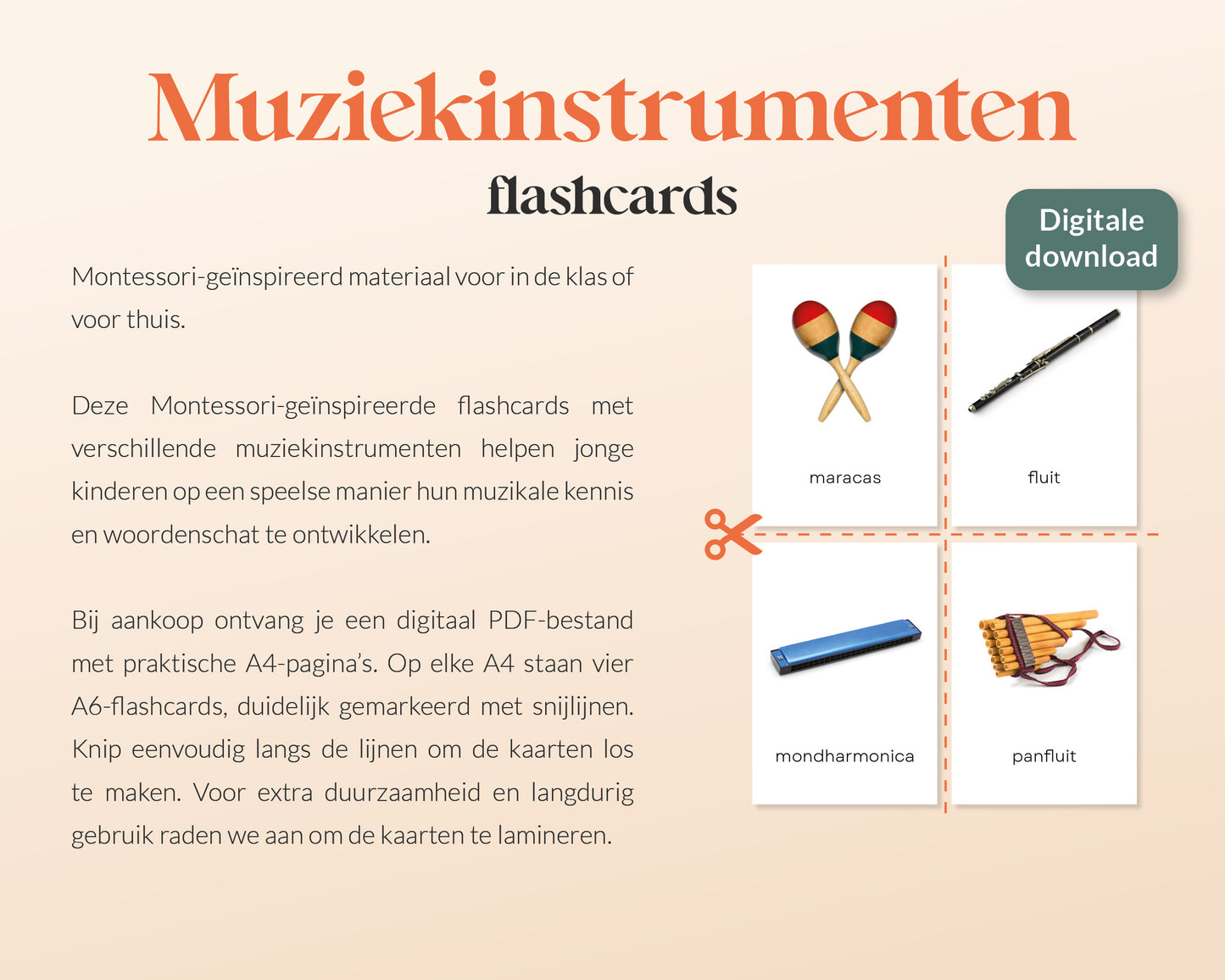 little disciples | muziekinstrumenten - 20 flashcards