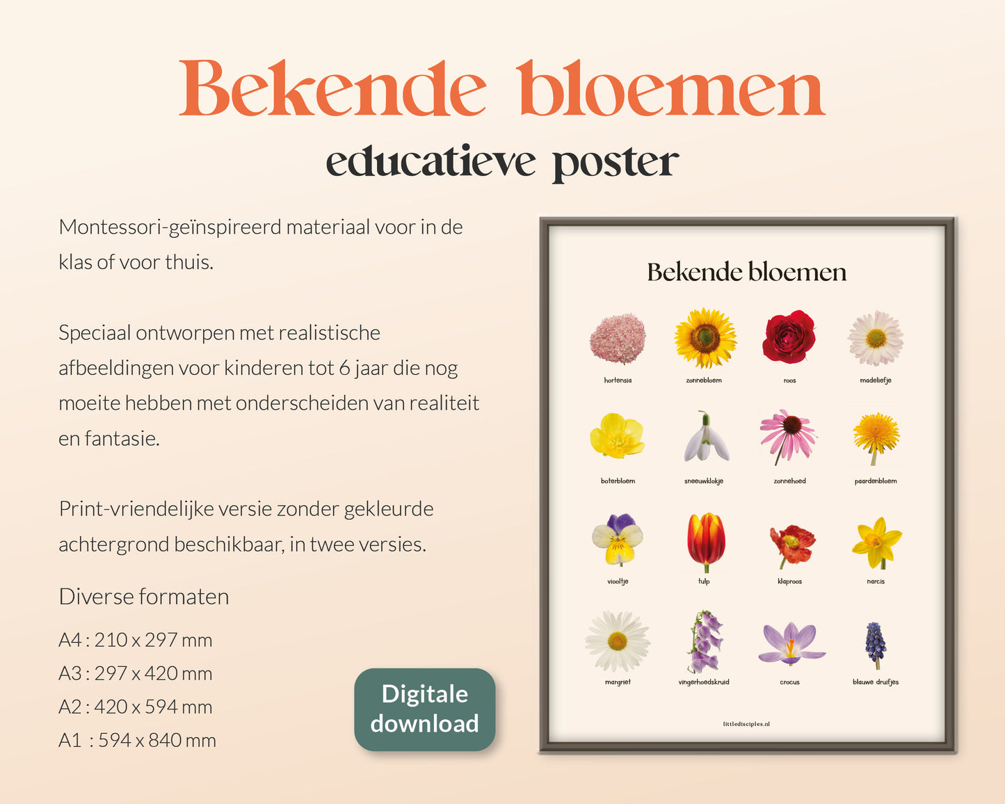 little disciples | bekende bloemen - poster
