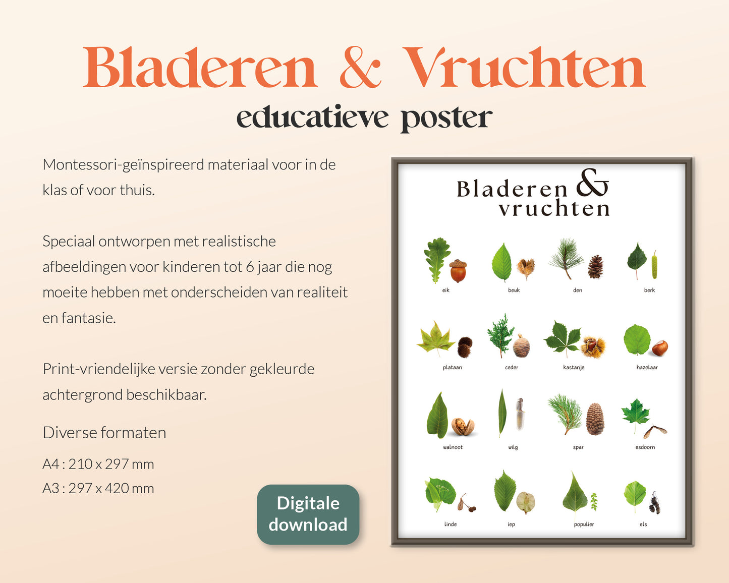 little disciples | bladeren en vruchten, nederlandse bomen - poster