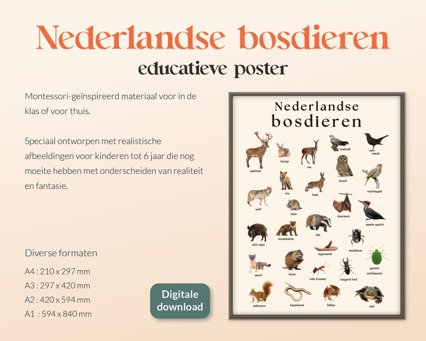 little disciples | nederlandse bosdieren - poster