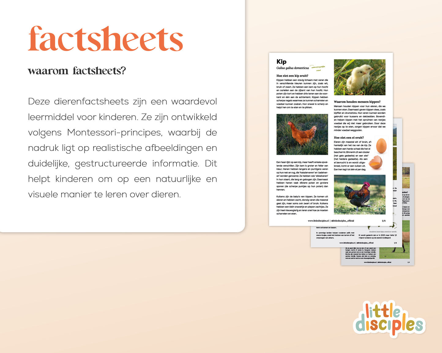 little disciples | boerderijdieren factsheets - 36 pagina's
