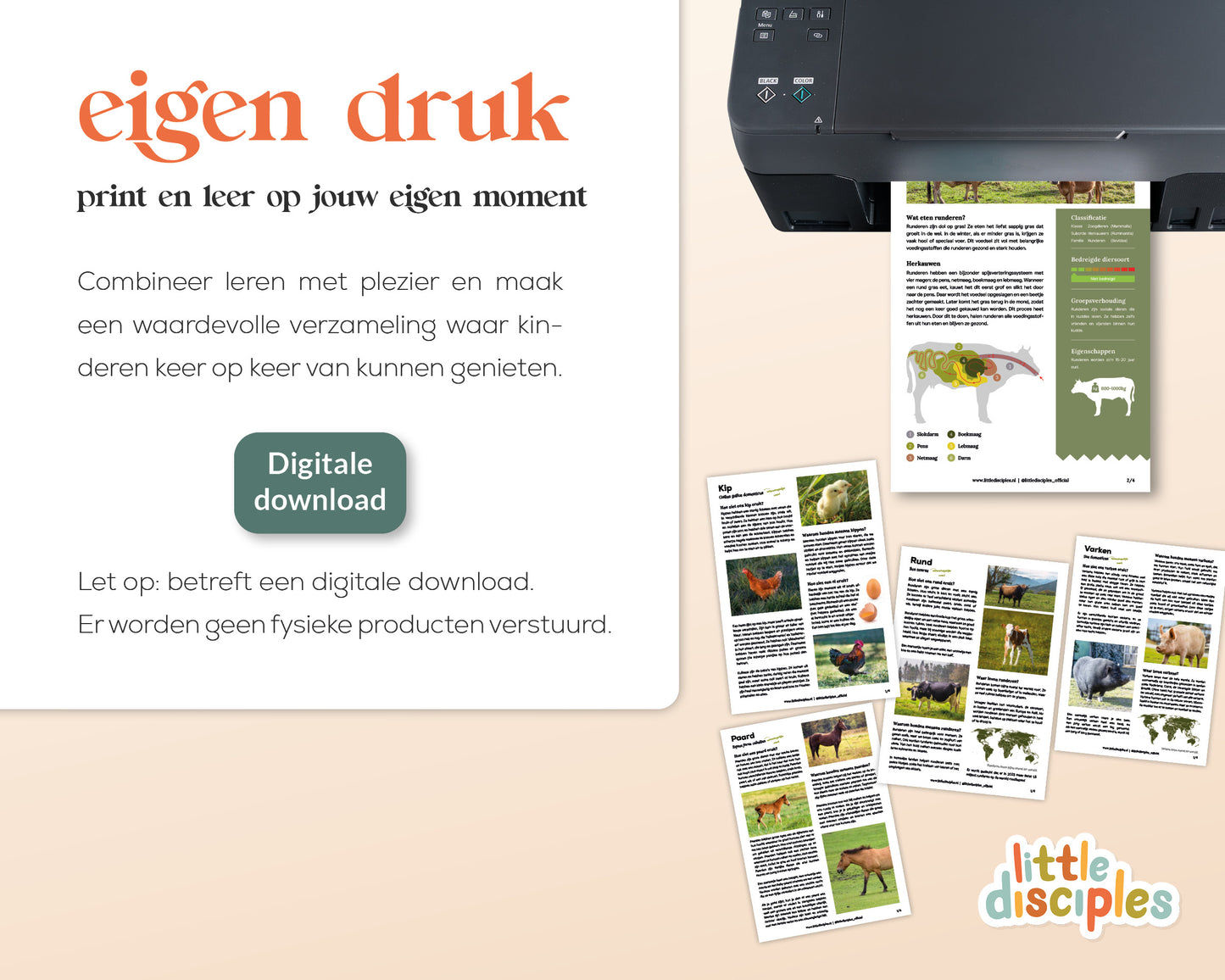 little disciples | boerderijdieren factsheets - 36 pagina's