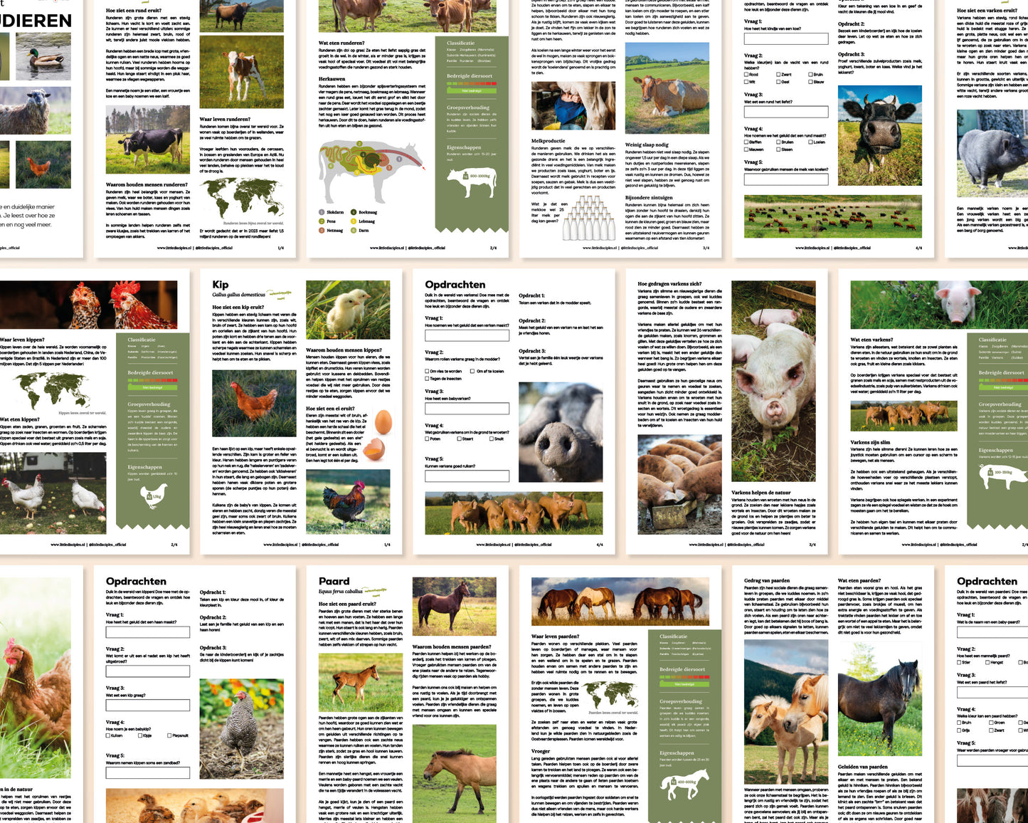 little disciples | boerderijdieren factsheets - 36 pagina's