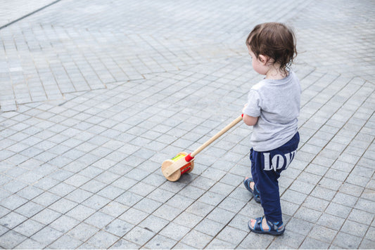 plantoys | loopstok "walk & roll"