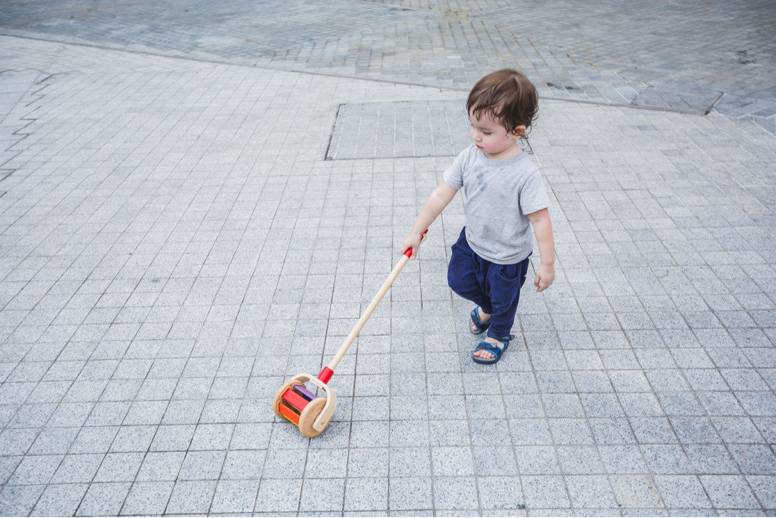 plantoys | loopstok "walk & roll"