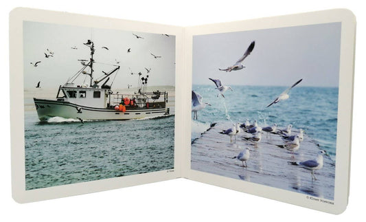 nowordbooks | de zee - woordloos fotoboek