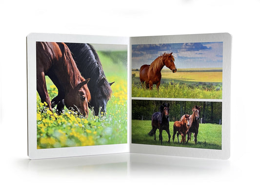 nowordbooks | boerderijdieren - groot woordloos fotoboek