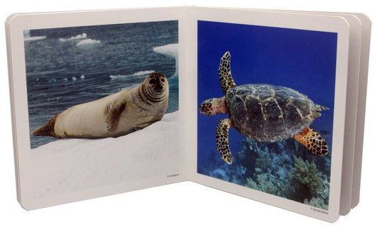 nowordbooks | zeedieren 1 - woordloos fotoboek