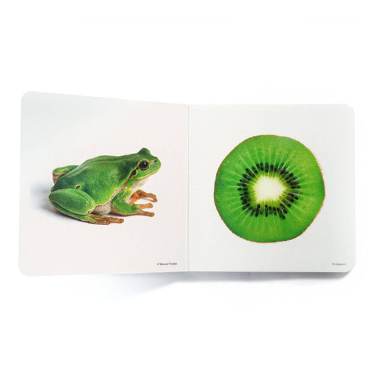 nowordbooks | groen - woordloos fotoboek