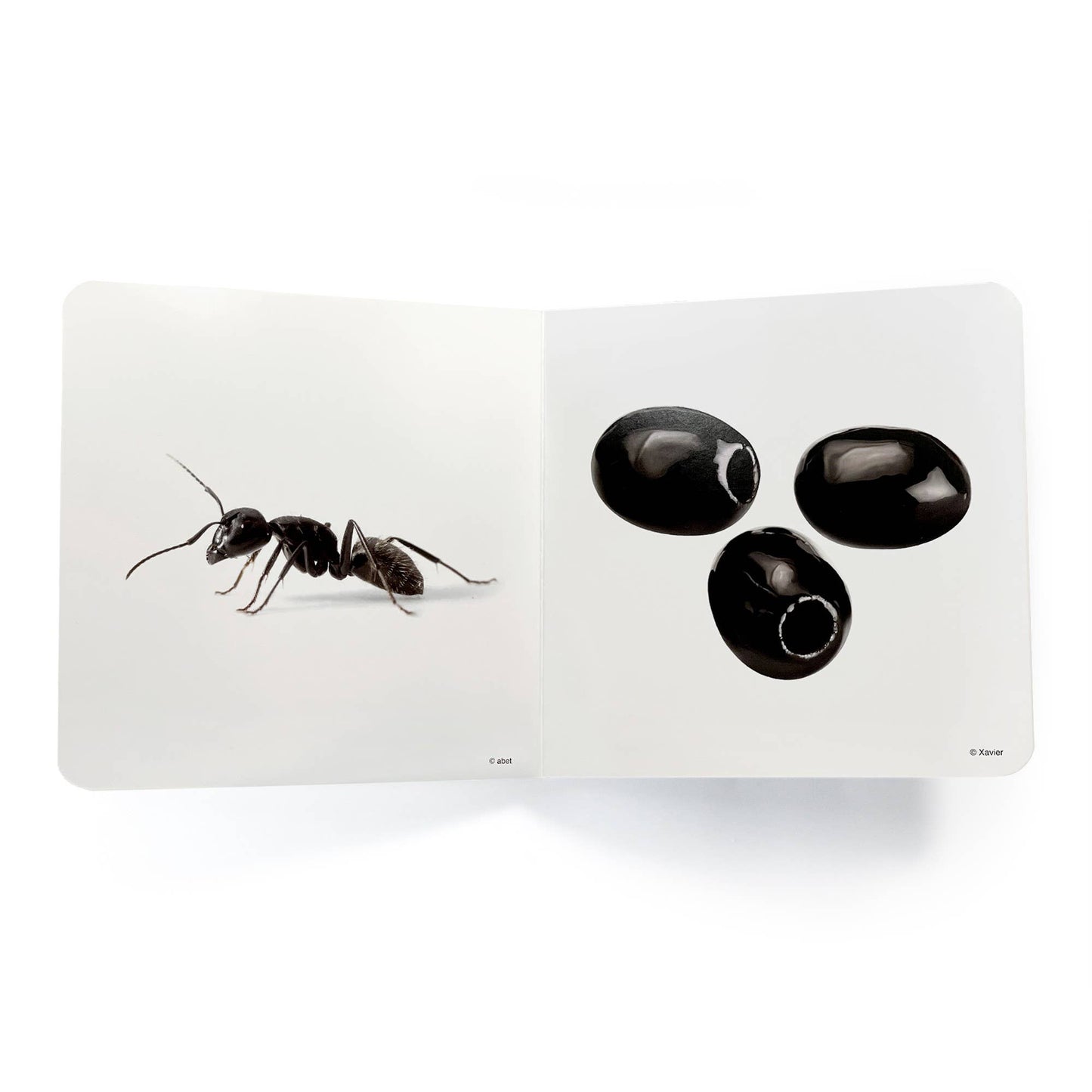 nowordbooks | zwart - woordloos fotoboek
