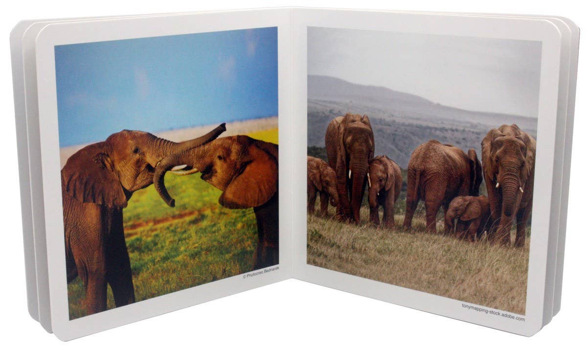 nowordbooks | dieren families 2 - woordloos fotoboek