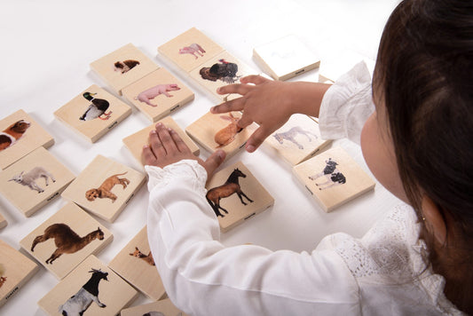 tickit | familiewedstrijd voor boerderijdieren– 28-delige set