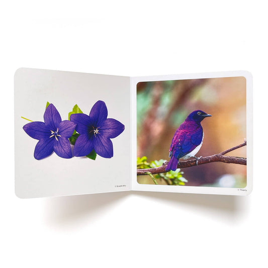 nowordbooks | paars - woordloos fotoboek