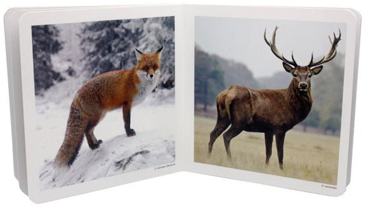 nowordbooks | bosdieren - woordloos fotoboek