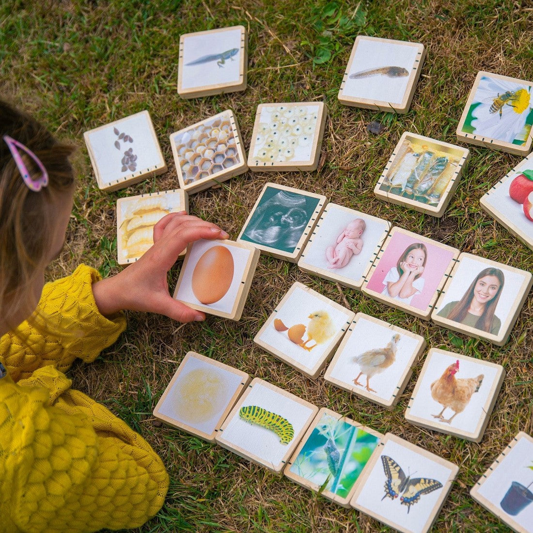 tickit | houten levenscyclustegels – set van 27