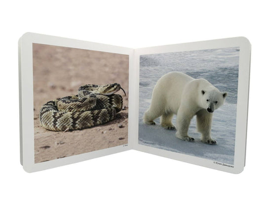 nowordbooks | wilde dieren 2 - woordloos fotoboek