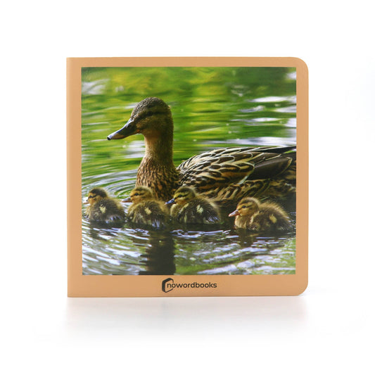 nowordbooks | dieren families 1 - woordloos fotoboek
